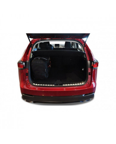 KJUST-Set Autotaschen für den Kofferraum - LEXUS NX I (AZ10) 2014-2021 4PCS