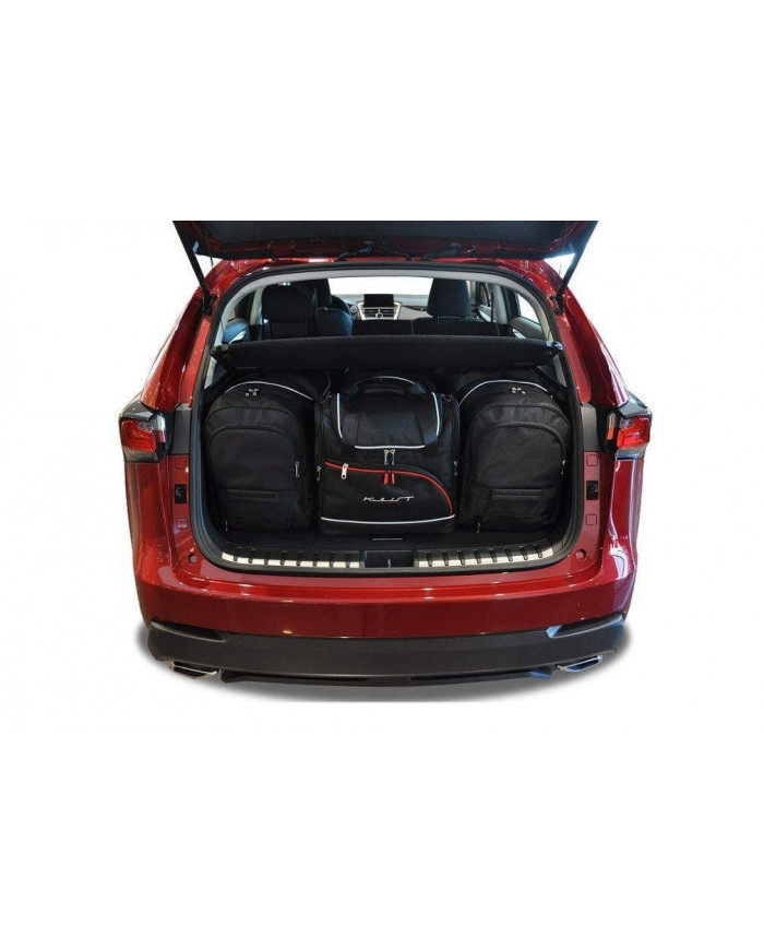KJUST-Set Autotaschen für den Kofferraum - LEXUS NX I (AZ10) 2014-2021 4PCS