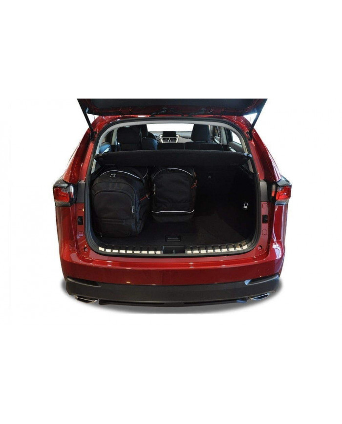KJUST-Set Autotaschen für den Kofferraum - LEXUS NX I (AZ10) 2014-2021 4PCS