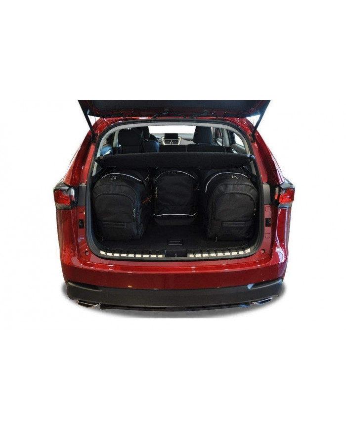 KJUST-Set Autotaschen für den Kofferraum - LEXUS NX I (AZ10) 2014-2021 4PCS