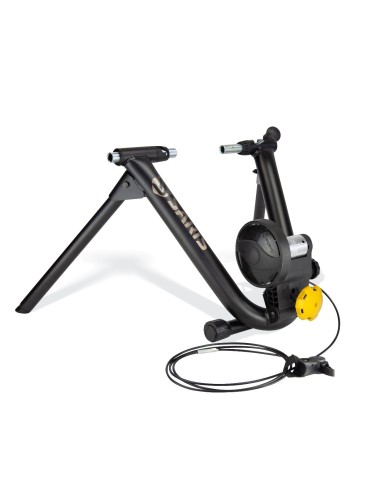 Saris MAG + exercise bike