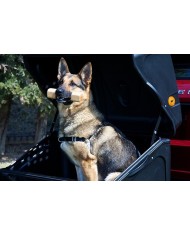 Skrzynia TOWBOX® V1 DOG do przewozu zwierząt