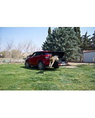 TOWBOX® V1 DOG box za prevoz živali