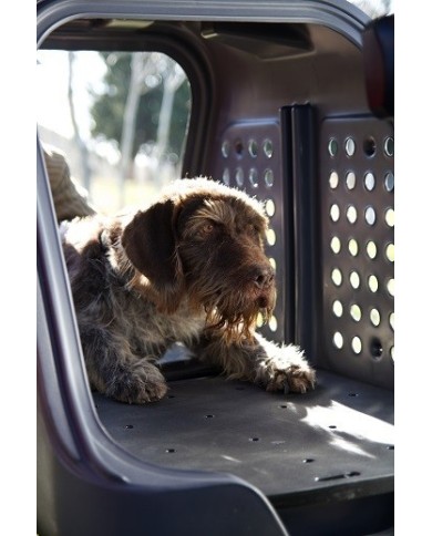 TOWBOX® V2 DOG box állatok szállítására